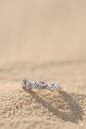 Jewello fascinated oxidize silver zig-zag studded American diamond Adjustable   finger ring for the women and girls.