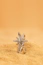 Jewello stunning silver-plated floral design and studded American diamond Adjustable finer ring for women and girls.