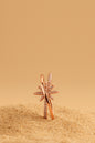 Jewello Adorable rose gold-plated floral design and studded American diamond Adjustable finger ring for women and girls.