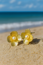 Jewello gorgeous sterling gold plated floral design and stud pearl bead anti tarnish Korean earring for women and girls.